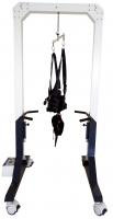 American Motion Fitness Подвес передвижной AMF 2551_1