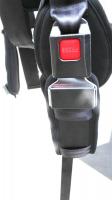 American Motion Fitness Беговая дорожка AMF 8230_8